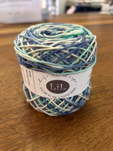 Load image into Gallery viewer, Life in Loops Hand Dyed Cotton 4ply - January