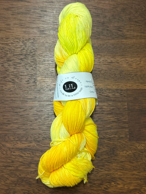 Life in Loops Hand-Dyed Cotton 4ply 100g Skein August