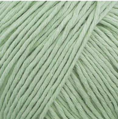 Fibra Natura Cottonwood - 100% Organic Cotton - 8ply - Pale Green 41119