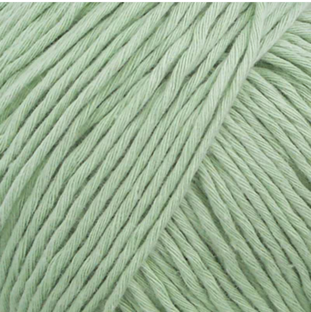 Fibra Natura Cottonwood - 100% Organic Cotton - 8ply - Pale Green 41119