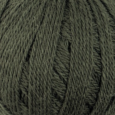 Patons Jet 12ply - River Grass 862