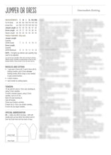 Load image into Gallery viewer, Panda Fabulous Funshine Pattern Book