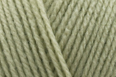 Stylecraft Special DK - Mushy Peas 2173