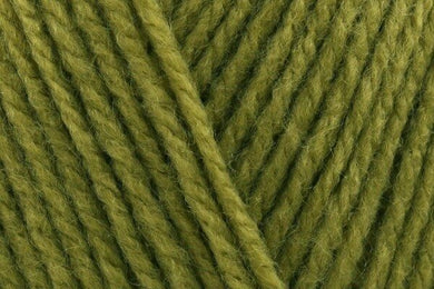 Stylecraft Special DK - Mistletoe 2180