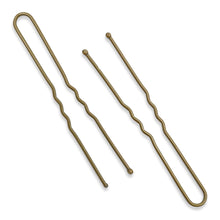 Load image into Gallery viewer, Envi Hair Fringe Pins - 50 pack