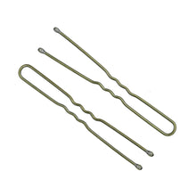 Load image into Gallery viewer, Envi Hair Fringe Pins - 50 pack