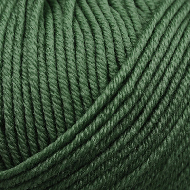 Bellissimo 4 - 100% Merino Extra Fine - Grass 406
