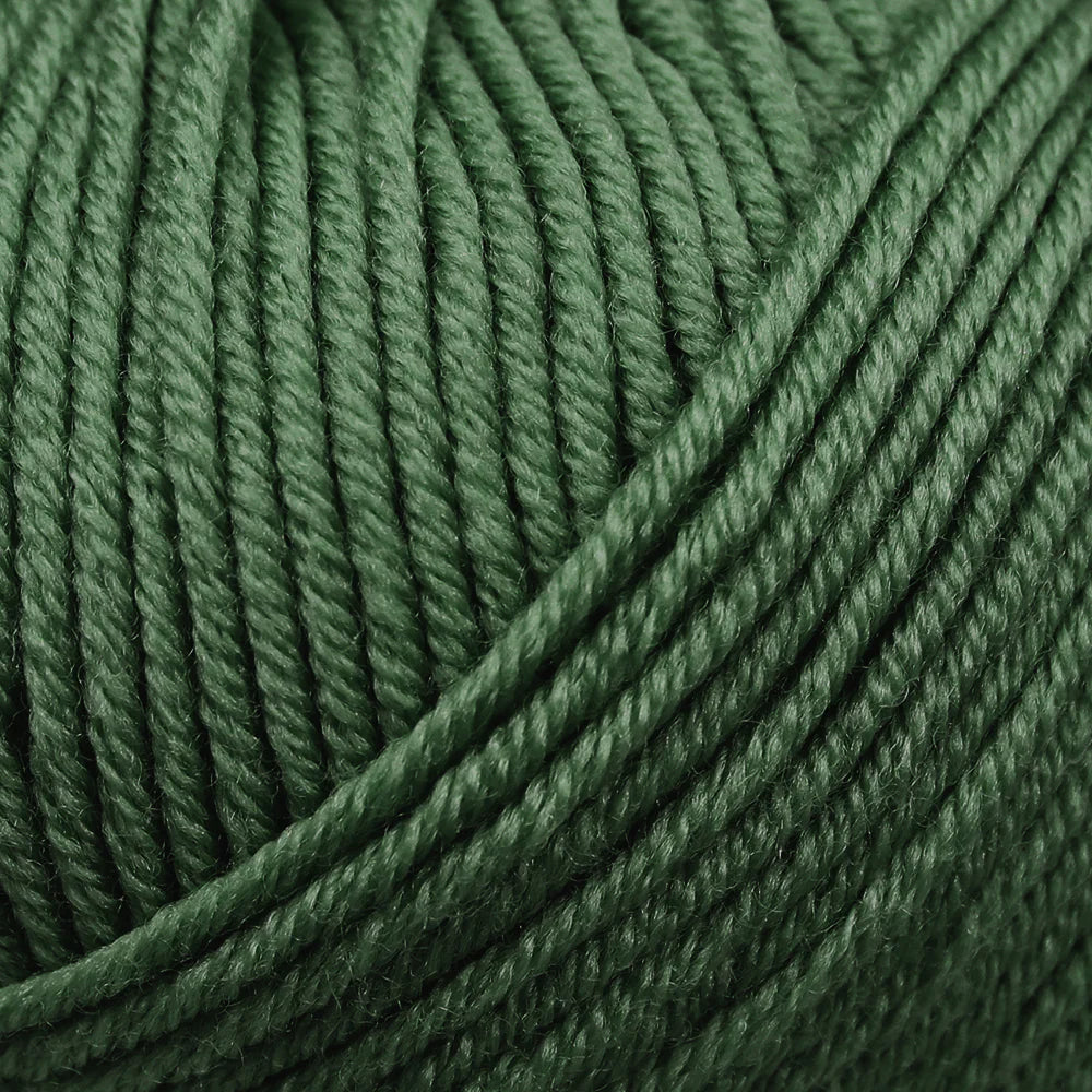 Bellissimo 4 - 100% Merino Extra Fine - Grass 406