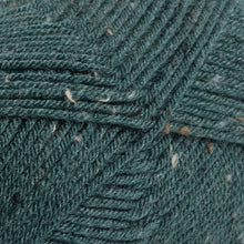 Load image into Gallery viewer, Brava Tweed - 10ply - 100g
