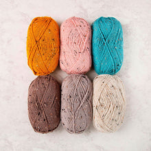 Load image into Gallery viewer, Brava Tweed - 10ply - 100g
