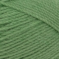 Patons Totem Merino 8ply - Catkin Green 4429