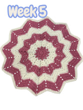 Load image into Gallery viewer, Christmas Crochet Classes - 8 projects over 8 weeks