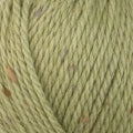 Patons Fairhaven 14ply - Reedgrass Fleck 9008