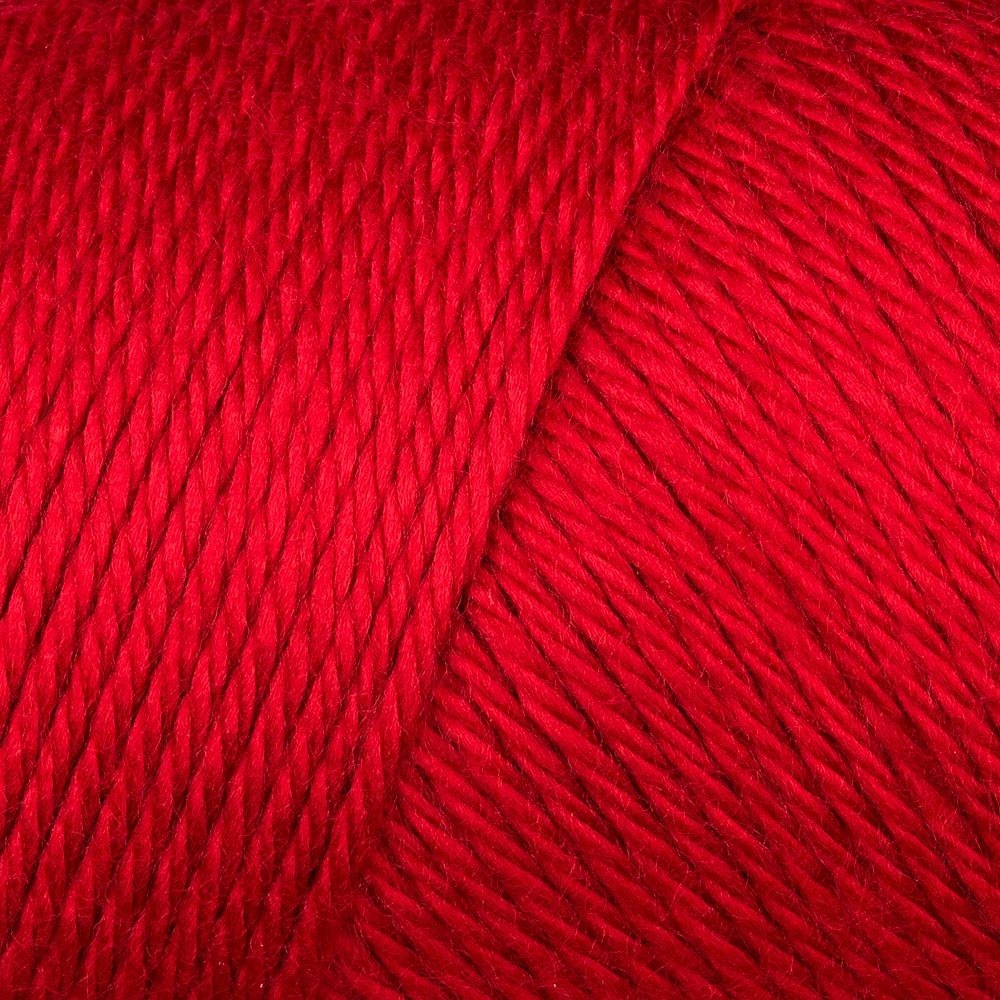 Caron Simply Soft - Harvest Red 9763