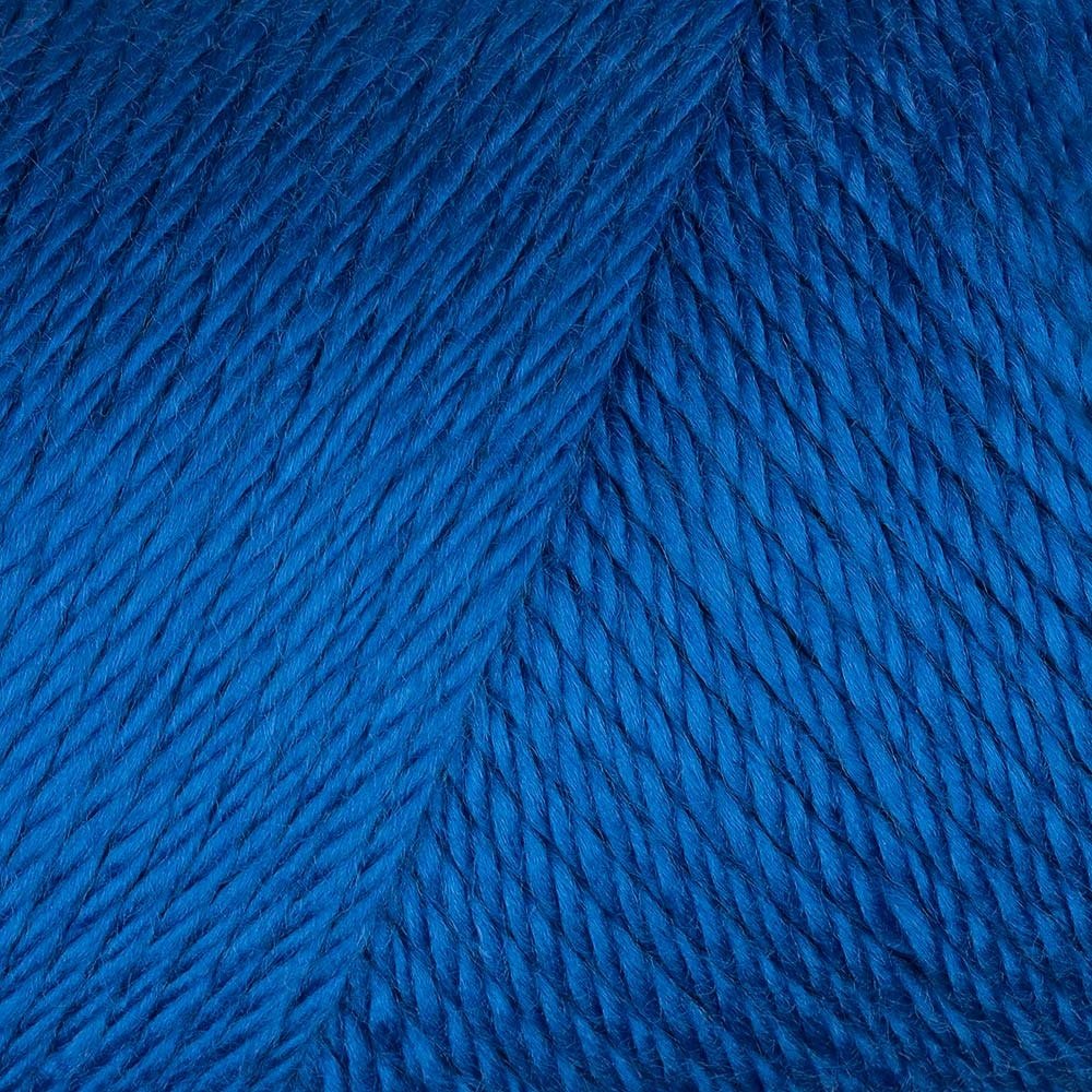 Caron Simply Soft - Royal Blue 9767