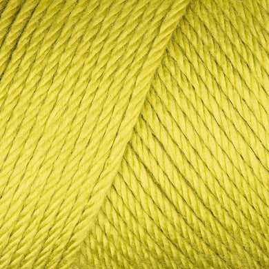 Caron Simply Soft - Chartreuse 9771