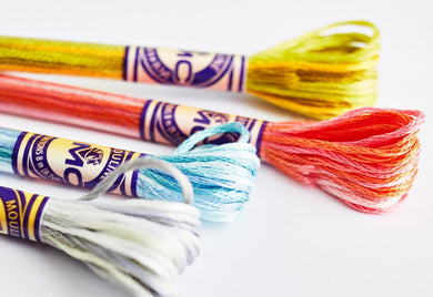 DMC Colour Variation Stranded Cotton Thread