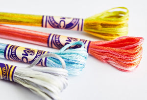 DMC Colour Variation Stranded Cotton Thread