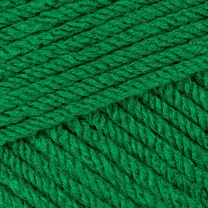 Stylecraft Special Chunky 12ply- Green 1116